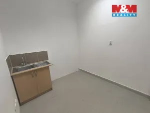Pronájem obchodního prostoru, Ústí nad Labem - Ústí nad Labem-centrum, Hoření, 140 m2