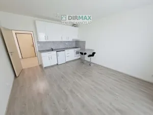 Pronájem bytu 1+kk, Plzeň - Jižní Předměstí, Magisterská, 32 m2