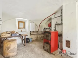 Prodej chalupy, Nový Rychnov, 176 m2
