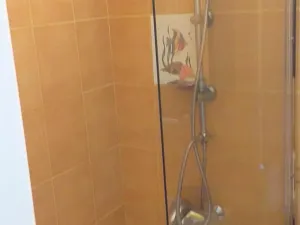 Pronájem bytu 1+1, Praha - Žižkov, Seifertova, 35 m2
