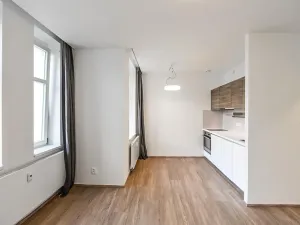 Pronájem bytu 1+kk, Praha - Vinohrady, Lucemburská, 30 m2