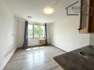 Pronájem bytu 2+kk, Tachov, Bělojarská, 37 m2
