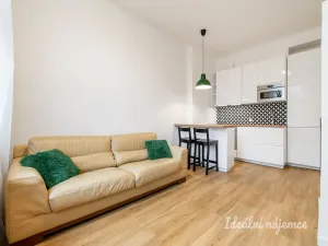 Pronájem bytu 2+kk, Praha - Nusle, Čiklova, 47 m2