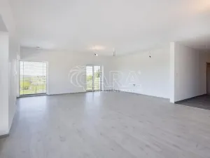 Prodej rodinného domu, Divišov, Na Špičníku, 167 m2