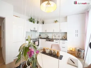 Prodej bytu 1+kk, Praha - Záběhlice, Ginzova, 39 m2