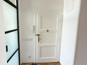 Pronájem bytu 2+kk, Praha - Podolí, Vodárenská, 55 m2