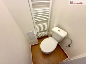 Pronájem bytu 2+1, Praha - Bubeneč, Ve struhách, 67 m2