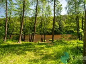 Prodej chaty, Boršov nad Vltavou - Jamné, 44 m2