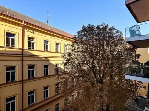 Pronájem bytu 3+kk, Praha - Staré Město, Rybná, 108 m2