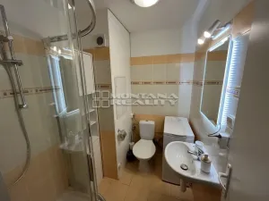 Pronájem bytu 1+1, Olomouc, Stupkova, 35 m2