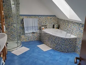 Pronájem rodinného domu, Benátky nad Jizerou, Pražská, 200 m2
