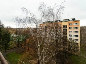 Prodej bytu 4+1, Ostrava - Hrabůvka, Krakovská, 74 m2