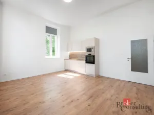 Prodej bytu 2+kk, Ostrava - Přívoz, Palackého, 48 m2
