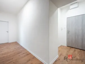 Prodej bytu 2+kk, Ostrava - Přívoz, Palackého, 48 m2