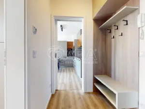 Pronájem bytu 2+kk, Zbiroh, Majerové, 463 m2