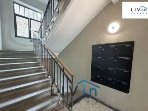 Pronájem bytu 1+kk, Olomouc, Krakovská, 80 m2
