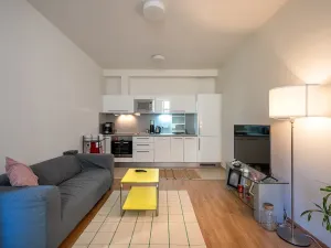 Pronájem bytu 2+kk, Brno, Úvoz, 57 m2