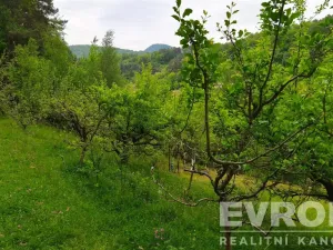 Prodej zahrady, Děčín, 1185 m2