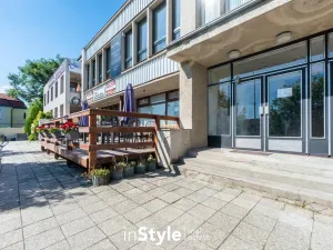 Pronájem obchodního prostoru, Velehrad, Salašská, 123 m2