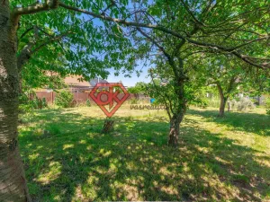 Prodej rodinného domu, Staré Hradiště, Ořechová, 152 m2