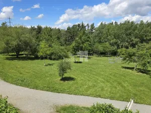 Prodej bytu 3+1, Plzeň - Bolevec, Žlutická, 75 m2