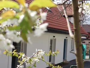 Prodej rodinného domu, Masojedy, 152 m2