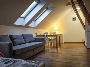 Pronájem bytu 1+kk, Ostrava, Cihelní, 38 m2