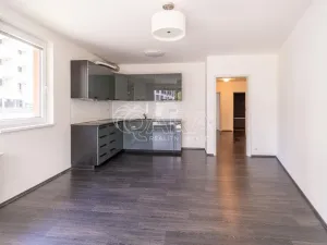 Pronájem bytu 3+kk, Praha - Žižkov, Olgy Havlové, 72 m2
