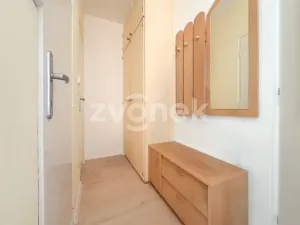 Pronájem bytu 1+1, Zlín, Dřevnická, 39 m2