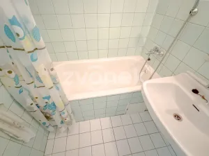 Pronájem bytu 1+1, Zlín, Dřevnická, 39 m2