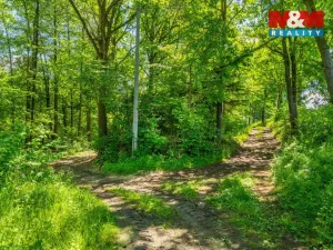 Prodej rybníku, Neustupov - Jiřetice, 885224 m2