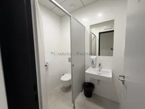 Pronájem skladu, Ostrava - Poruba, 17. listopadu
