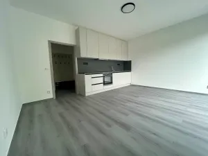 Pronájem bytu 2+kk, Milovice, Kaštanová, 49 m2