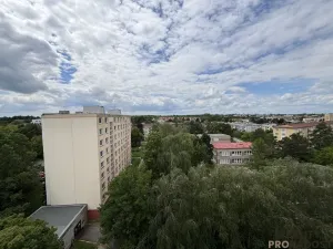 Prodej bytu 1+kk, Olomouc, Karafiátová, 22 m2