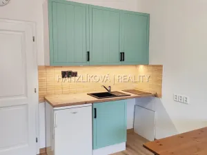 Pronájem bytu 1+kk, České Budějovice - České Budějovice 3, Lipenská, 27 m2