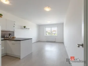 Pronájem bytu 1+kk, Brno - Ponava, Střední, 39 m2