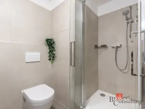Pronájem bytu 1+kk, Brno - Ponava, Střední, 39 m2