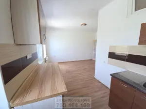 Pronájem bytu 3+kk, Krnov - Pod Cvilínem, Stará, 100 m2
