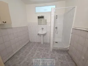 Pronájem bytu 3+kk, Krnov - Pod Cvilínem, Stará, 100 m2