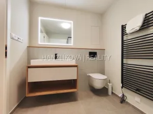 Pronájem bytu 1+kk, České Budějovice - České Budějovice 3, Fráni Šrámka, 41 m2