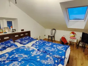 Prodej rodinného domu, Rakovice, 169 m2