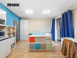 Prodej bytu 1+kk, Praha - Žižkov, Olšanská, 34 m2