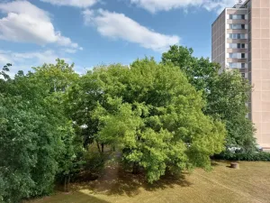 Pronájem bytu 1+kk, Hradec Králové - Pražské Předměstí, Baarova, 33 m2