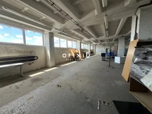 Pronájem skladu, Brno, Vídeňská, 1600 m2
