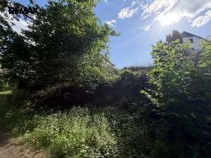 Prodej zahrady, Želiv, 405 m2