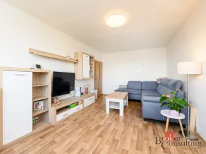 Prodej bytu 3+1, Plzeň, Hodonínská, 77 m2