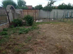 Prodej rodinného domu, Drnholec, nám. Svobody, 170 m2