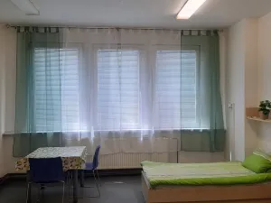 Pronájem bytu 1+kk, Hranice - Hranice I-Město, Potštátská, 40 m2