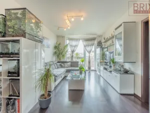 Pronájem bytu 2+kk, Praha, Svitákova, 54 m2