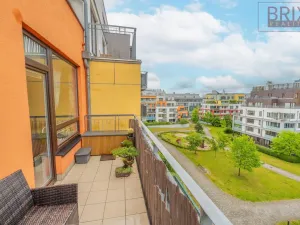 Pronájem bytu 2+kk, Praha, Svitákova, 54 m2